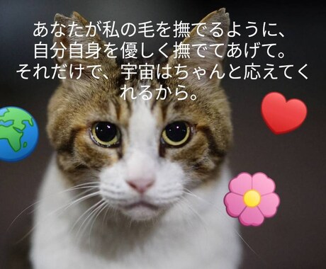 猫のオラクルカードでメッセージを届けます ネコ世界から届く愛と癒やしのスピリットメッセージ イメージ2