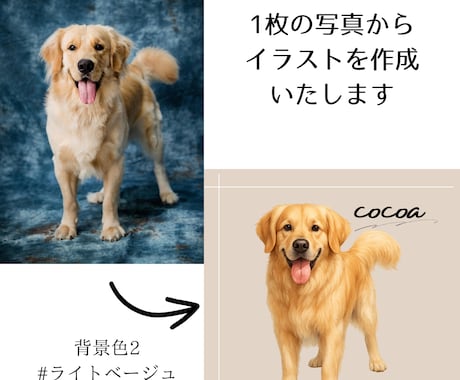 うちの子（ペット）を世界で1つだけのアートにします 選べる背景色15パターン！大切な家族をイラストにませんか？ イメージ2