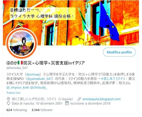 Twitterのプロフィールを添削します フォロワー3000人超の大学生がアドバイスをします！ イメージ2