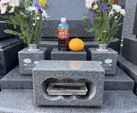 多磨霊園専門★お墓参り・清掃代行します 忙しいあなたに代わり清掃・礼拝。現地の様子を詳しく報告します イメージ2