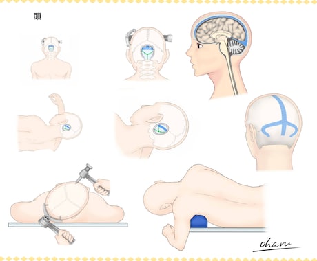 論文、書籍で使用するメディカルイラスト制作します 脳専門。2000枚以上制作しました。 イメージ2