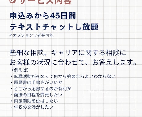 転職活動を45日間伴走｜採用人事がサポートします 人事・転職エージェントの【具体的なノウハウ】で転職を成功へ イメージ2