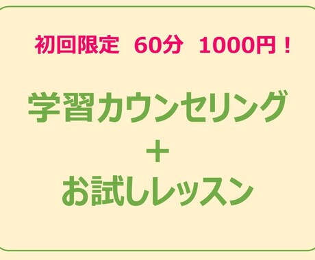 60分1000円！英語学習の不安を一緒に解消します ☆初回限定☆学習カウンセリング＋お試しレッスンを提供します！ イメージ1