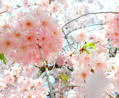 恋の悩み相談受け付けます あなたの恋を1番に応援します！ イメージ1