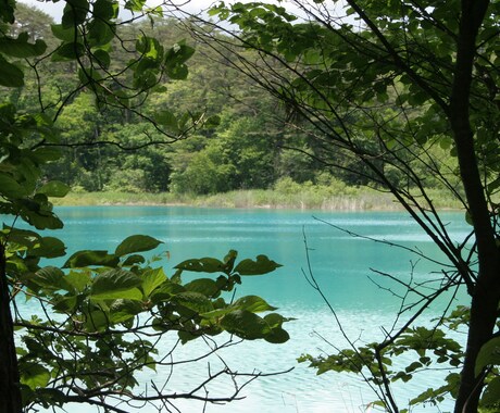 思い出(旅行等)の写真や動画を１本のDVDにします 家族や仲間で集まってテレビ画面で思い出ムービーを見ませんか？ イメージ2