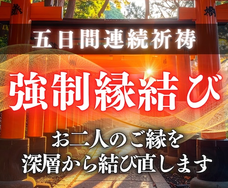 強制縁結び|5日間連続でお二人のご縁を強く結びます 二人の魂を引き寄せ、深層の光で静かに強く結び直す施術 イメージ1