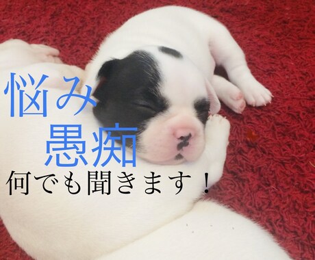 どんな話でもOK！24時間出来るだけ対応します 話を聞いてほしい方、話をしてほしい方待ってます！ イメージ1