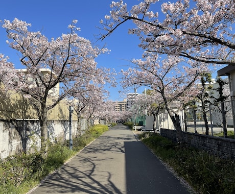 お薬の相談、進路の相談何でも伺います 飲み合わせ、飲み方、お通じ、睡眠、痩せたい、健康に生きたい方 イメージ1