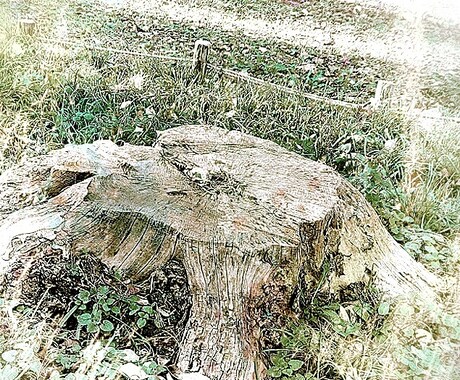 写真、放り投げます ちょっと印象的な壁紙が欲しいあなたへ イメージ2