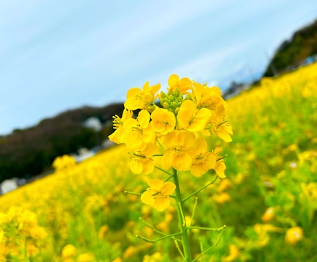 現役セラピストがあなたのお話をお伺いします ♡お試し一分からOK♡お悩みや愚痴、世間話なんでもどうぞ！ イメージ2
