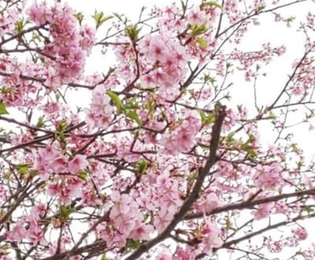 あなたの代わりに５つのSNSに投稿いたします 利用者数、約３０億人なので宣伝効果が期待できます イメージ1