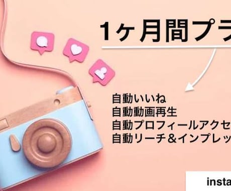 インスタグラムの自動いいねなどのプランを提供します 一ヶ月間自動でいいねやプロフィールアクセスをゲットできます イメージ1