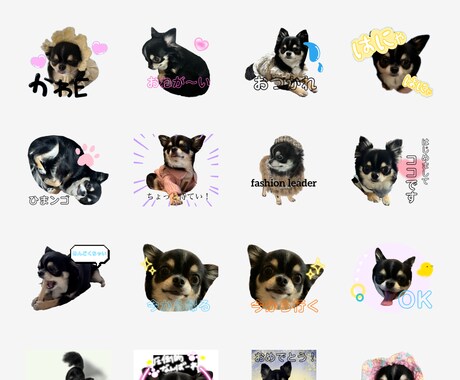 ペットのLINEスタンプ作成します とびっきり可愛いオリジナルスタンプ！ イメージ2