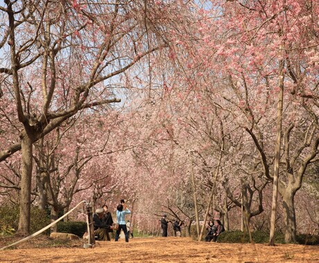 介護福祉士受験対策(社会保障制度)レッスンします 福祉専門学校での経験を活かし、社会保障について解説します！ イメージ1