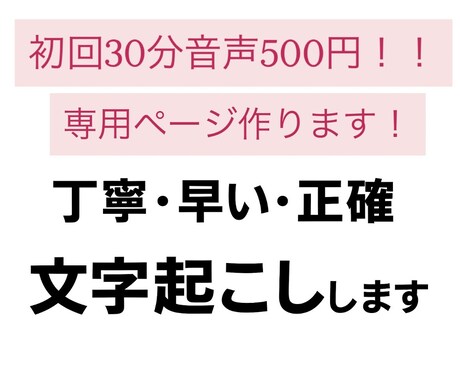 丁寧で正確】高品質な文字起こしをします イメージ1