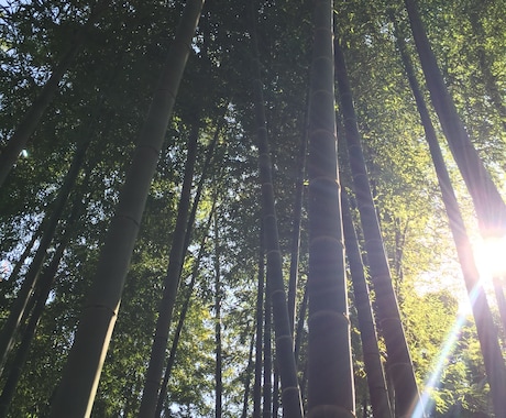 より良い人生に向けてリーディングいたします ご相談様の心に寄り添い明るい道へ導きます イメージ2