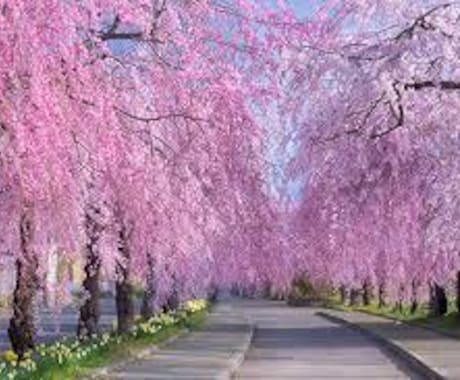 誰かと話したい時聞いて欲しい時私がいますます 誰かと話したいな　心寂しい時そんな時は美鈴とお話しませんか？ イメージ1