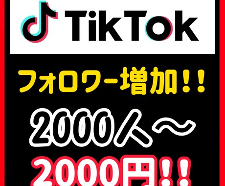 2000人TikTokのフォロワーを増やします 些細な疑問でもお答えしますのでご気軽に相談ください！ イメージ2