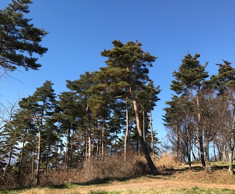 あなたを癒せるならチャットでなんでもお話ききます 愚痴、悩み、困りごと、話したいことお聞きします イメージ1