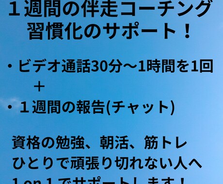 習慣化に伴走！ビデオ通話後7日間ＤMで応援します 仕組み化を一緒に考えて実行！複数習慣OK。毎日報告で継続！ イメージ1