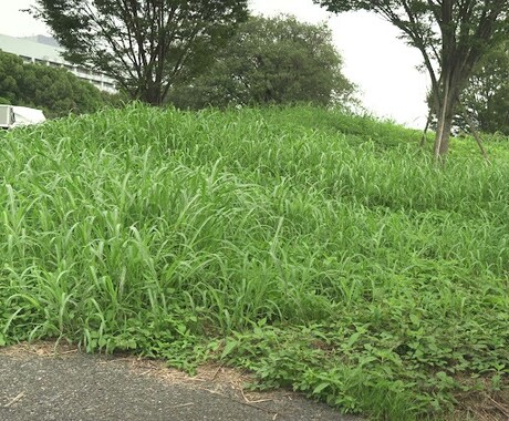 会社での愚痴ききます お話し聞ききたいです。私も沢山悩んできました。 イメージ1