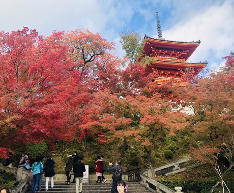 コロナの後は旅行しよう！ステキな旅プラン考えます 元大手旅行会社で、現役CAがステキな旅プランを作成します❣️ イメージ1