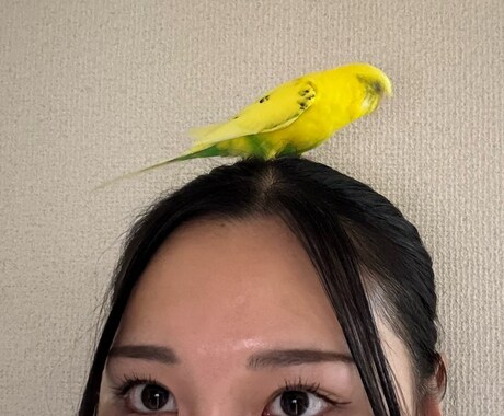 自己肯定感ブチ上げます 話したいけど否定されるのが怖い?大丈夫です イメージ1