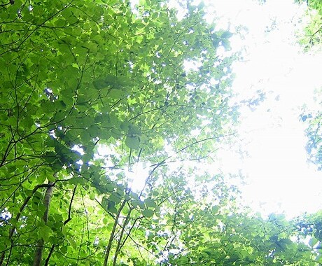誰かに話したい時、私で良ければお聞きします 5分だけもOK。お話ししましょう。 イメージ2