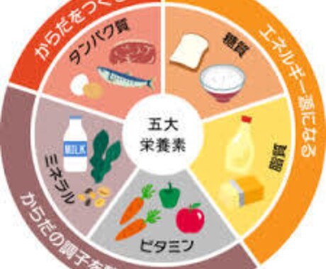 ジュニアアスリートの栄養・メンタルサポートします 本気の子どもに、身体と心の栄養を！ イメージ2