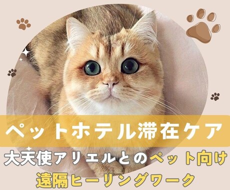 ペットの不安軽減☆ホテル滞在を大天使が守護します ★大天使アリエル★ペットへの遠隔ヒーリングとプロテクション イメージ1