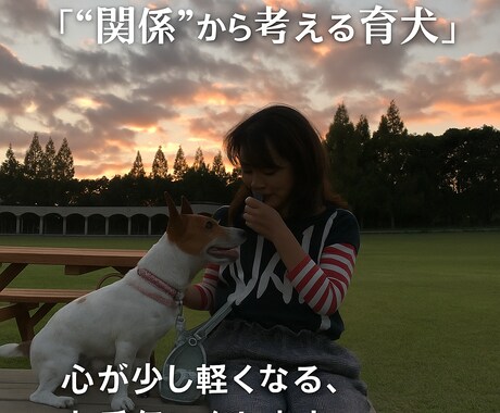 不安な育犬生活を共に整えます 叱れない・褒められない日々の葛藤に寄り添います イメージ2