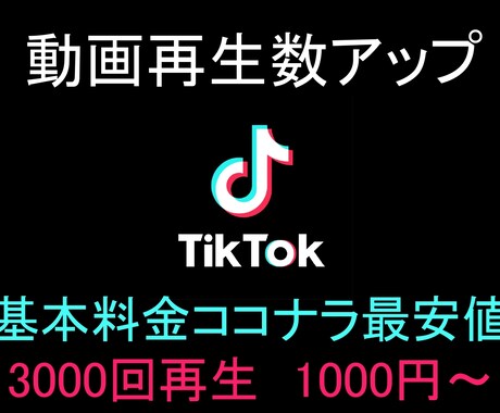 Tiktokの再生回数をアップします ⭐️基本料金ココナラ最安値⭐️今なら3000再生を1000円 イメージ1
