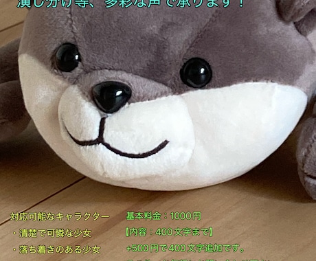ご要望に合わせて丁寧に収録します イメージ1
