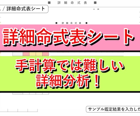 四柱推命自動鑑定ツールを提供します 命式表と鑑定書PDFをExcelで作成 イメージ2