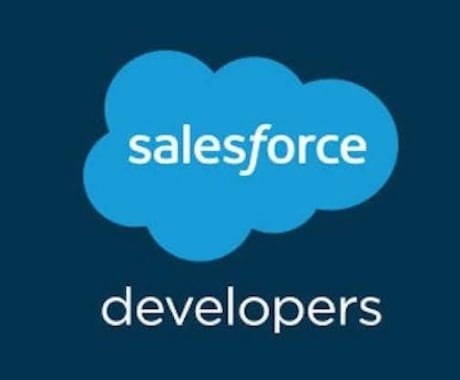 salesforceの開発をサポートします salesforce関連で開発を検討されている方へ イメージ1