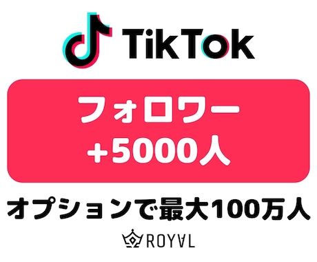 TikTokフォロワーを5000人増やします ⭐複数アカウントに振り分け可能・格安・高速・外国人⭐ イメージ1