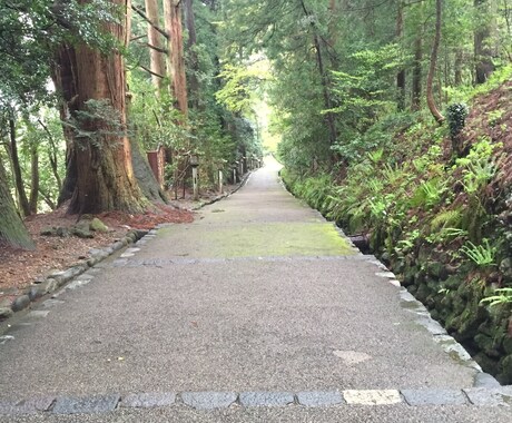 ビジョンクエストタロットで占います ペットの悩み、恋愛の悩み、いろんなお悩み全般引き受けます イメージ1