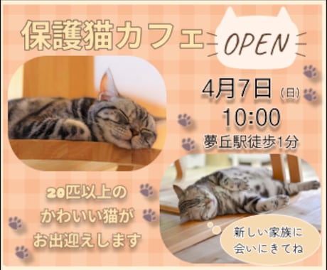 ターゲットに響く、魅力的なバナーを制作します 広告・SNS・ECサイト用等、目的に合わせたバナーを制作 イメージ2