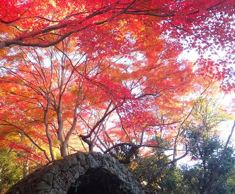 パワースポットをご紹介します あなたにとってはその土地は逆効果になることも イメージ1