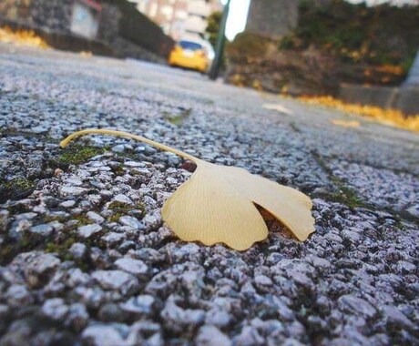 本当の自分を一緒に探します あなたは今の自分が好きですか？ イメージ1