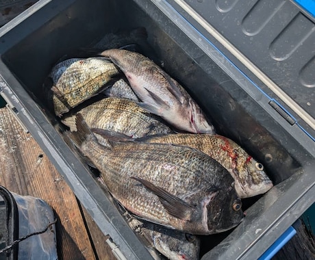 磯・筏釣りの悩みを聞きながら釣りを一緒に組立てます 釣れない原因を整理して釣り方を一緒に考えます イメージ1
