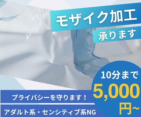 動画のモザイク、ぼかし加工します 丁寧に迅速にプライバシーを守ります イメージ1