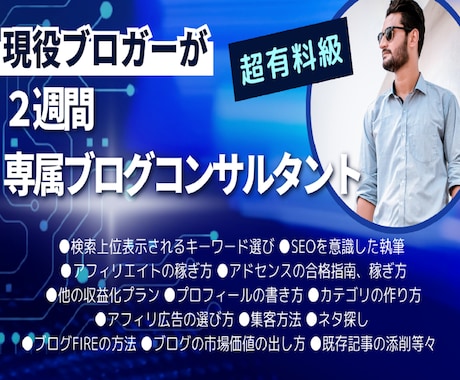 2週間専属ブログコンサルタントとしてコンサルします 既存のブログを具体的に収益化を目指して具体的にアドバイス イメージ1