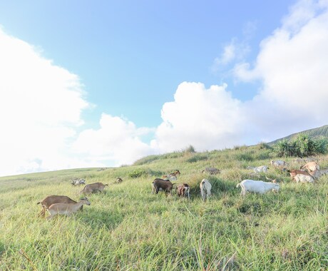 地元の人だけ知っている台湾の穴場と食べ物 イメージ2