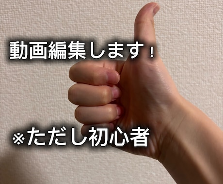 YouTubeなどの動画編集(初心者)します イメージ1