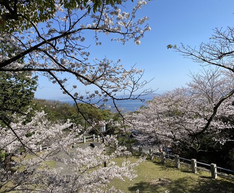 あなたの隠れた才能・性格を、誕生花・数秘で占います しんどい、イライラする、もう嫌！！何でも聴くからお寄り下さい イメージ2