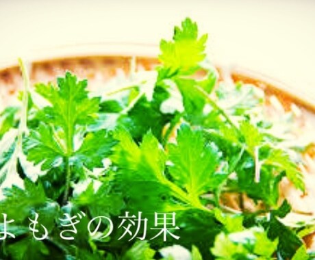 よもぎの効果、です。web他用になります web他、様々な用途で可能かと思います。 イメージ1