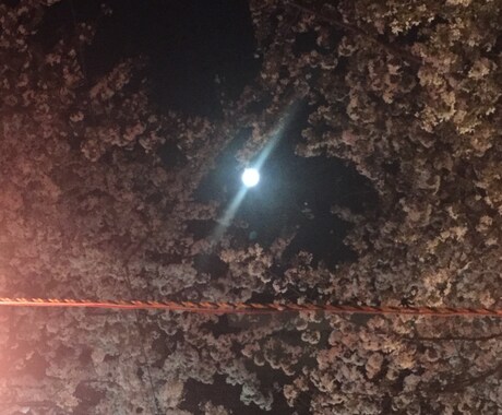 タロットで空からの言葉をお伝えします 誰かに聞いてほしい、背中を押してほしいあなたに イメージ1