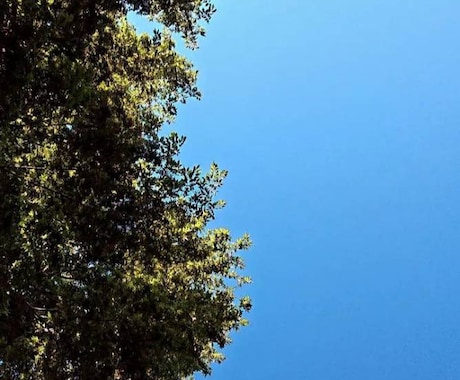 1週間♪リーディング付・お悩みメールサポートします ヒーリング、イメージワーク、ボディワーク、思考感情整理 イメージ1
