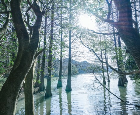 解離性同一性障害(多重人格)のお悩みお聞きします たくさんの自分に悩むあなたへ。 イメージ1